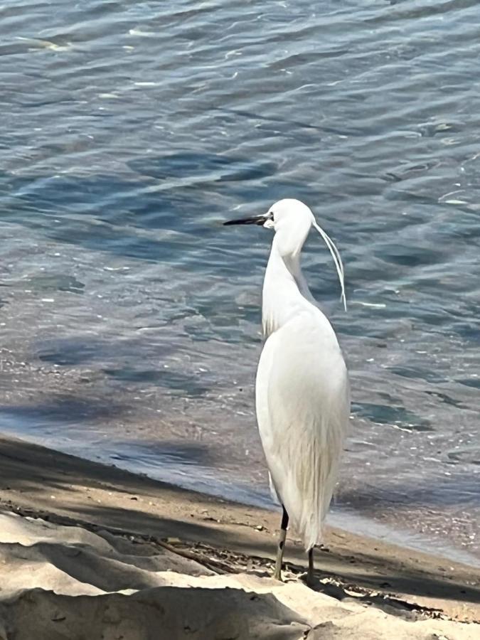 Kallithea Nea Iraklitsa エクステリア 写真
