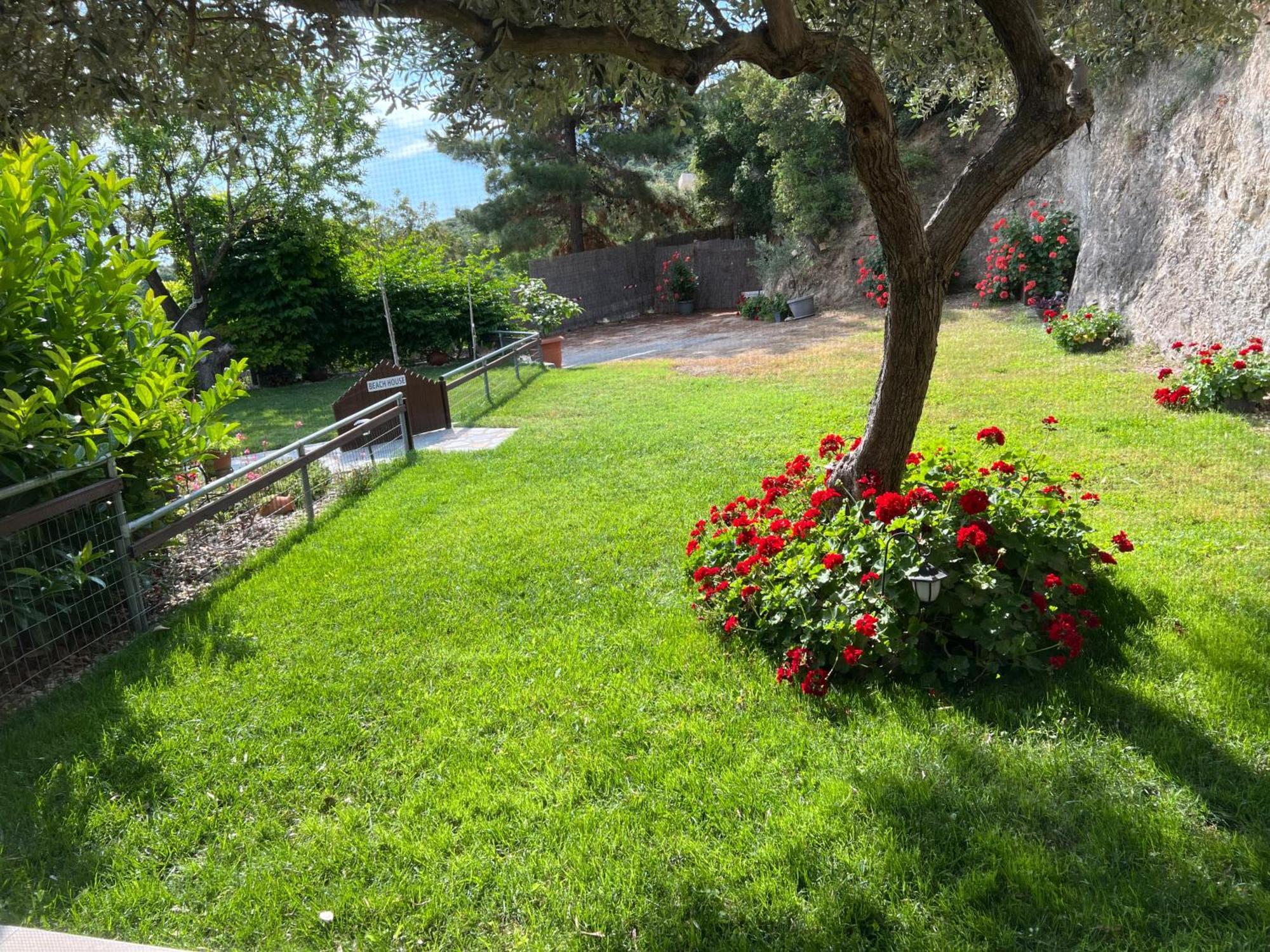 Kallithea Nea Iraklitsa エクステリア 写真